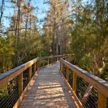 The Panama City Beach Conservation Park