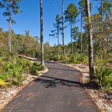 The Panama City Beach Conservation Park