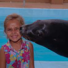 Gulf World Marine Park