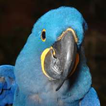 Gulf World Marine Park