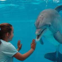 Gulf World Marine Park