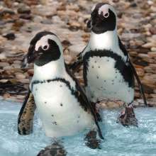Gulf World Marine Park