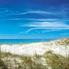 Shell Island
