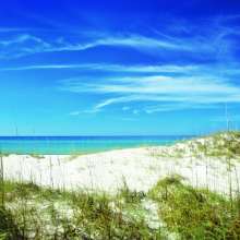 Shell Island