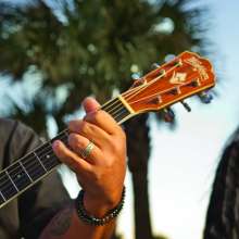 Great American Blues Festival