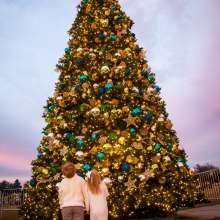 Two kids standing in front of a Christmas tree at Aaron Bessant Park.