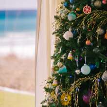 Beach Home for the Holidays