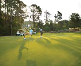 Where to Play Golf in Panama City Beach