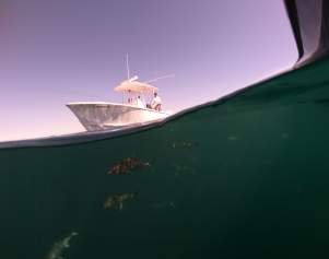 August Fishing Report