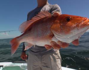 October Fishing Report