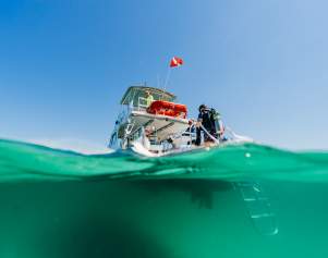 "Dive" into Panama City Beach
