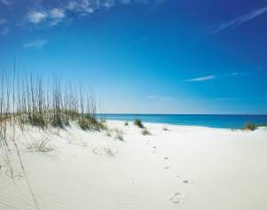 Shell Island