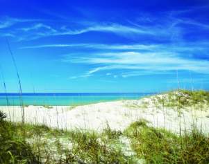 Shell Island