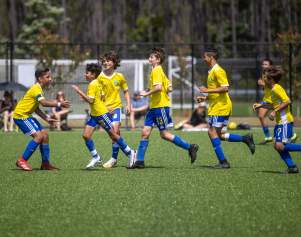 soccer players on field