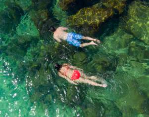Beneath the Waves: PCB's Marine Life