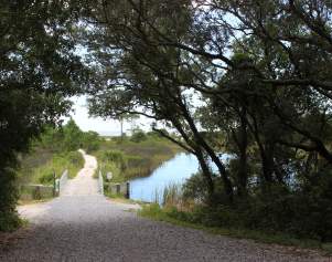 Hitting the Hiking Trails