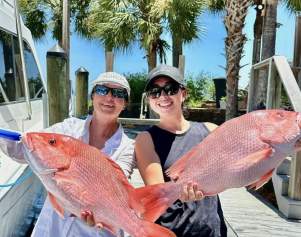 Hooked on Family Fun