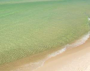 Little Known Facts about the Real. Fun. Beach.