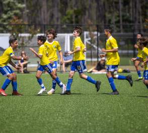 soccer players on field