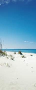 Shell Island Panama City Beach Florida