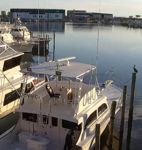 Capt. Anderson's Webcam