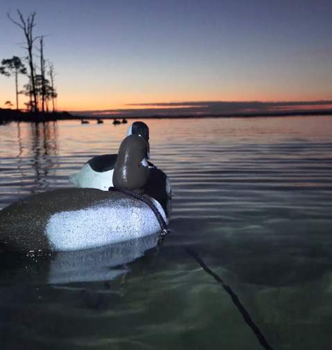 Panama City Beach Florida Sunrise
