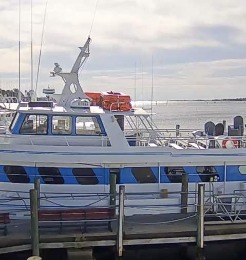 Capt. Andersons Marina Webcam