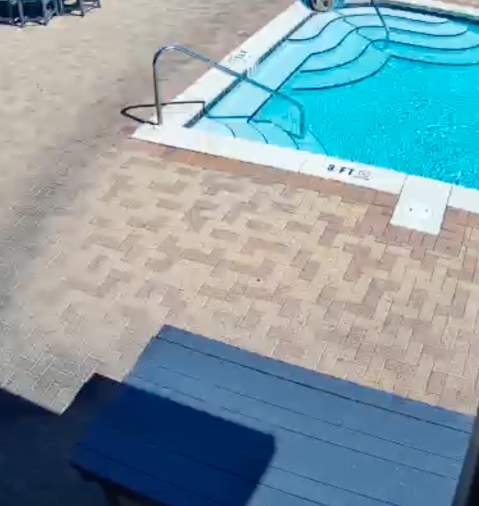 Sister of the Sea Webcam