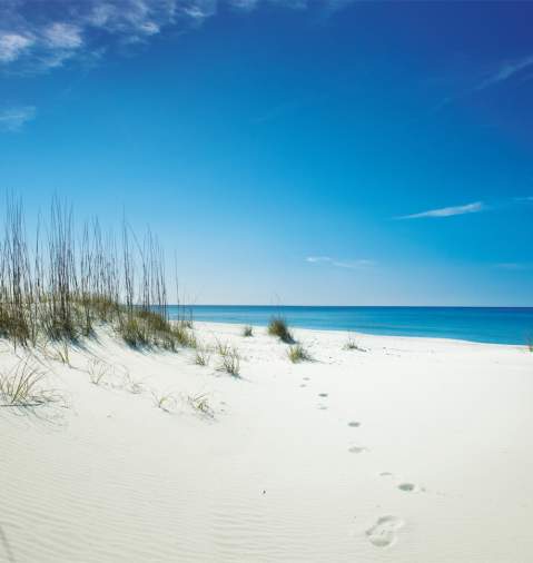 shell island gulf of mexico panama city beach florida