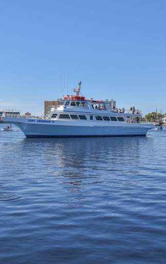 Capt. Andersons Marina