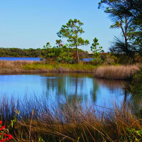 Camp Helen State Park