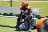 Football - Battle Sports