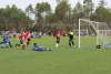 Soccer 2024 - ECPL FL Roots