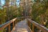 The Panama City Beach Conservation Park