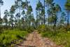 The Panama City Beach Conservation Park