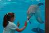 Gulf World Marine Park