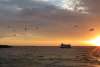 Crusing at Sunset