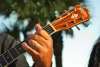 Great American Blues Festival
