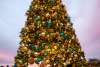 Two kids standing in front of a Christmas tree at Aaron Bessant Park.
