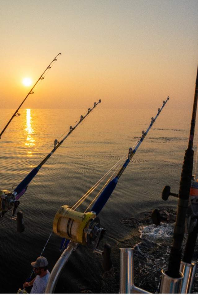 Fishing Poles