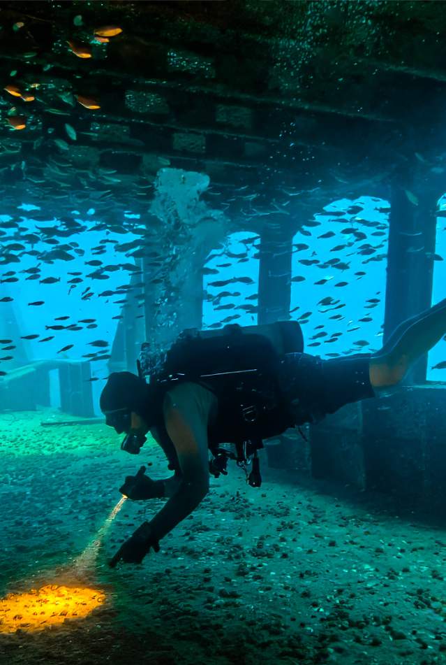 Diver