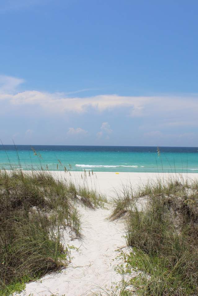 gulf of mexico beach dunes panama city beach florida