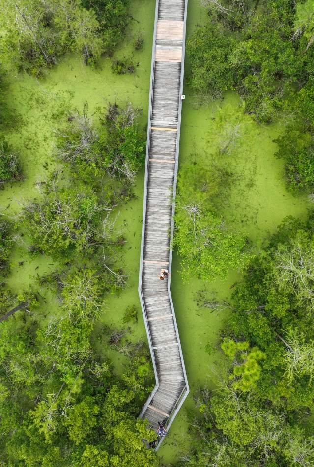 PCB Conservation Park Drone View