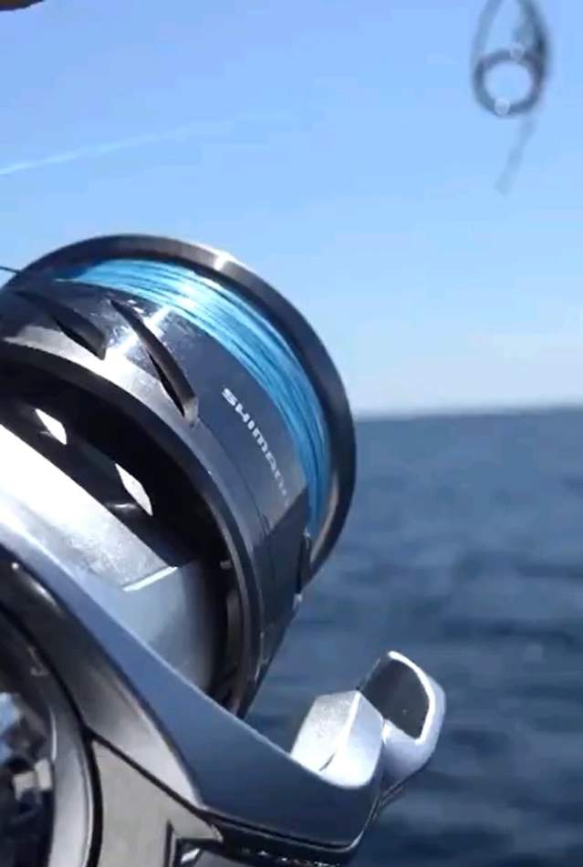 Shimano reel in Panama City Beach Florida