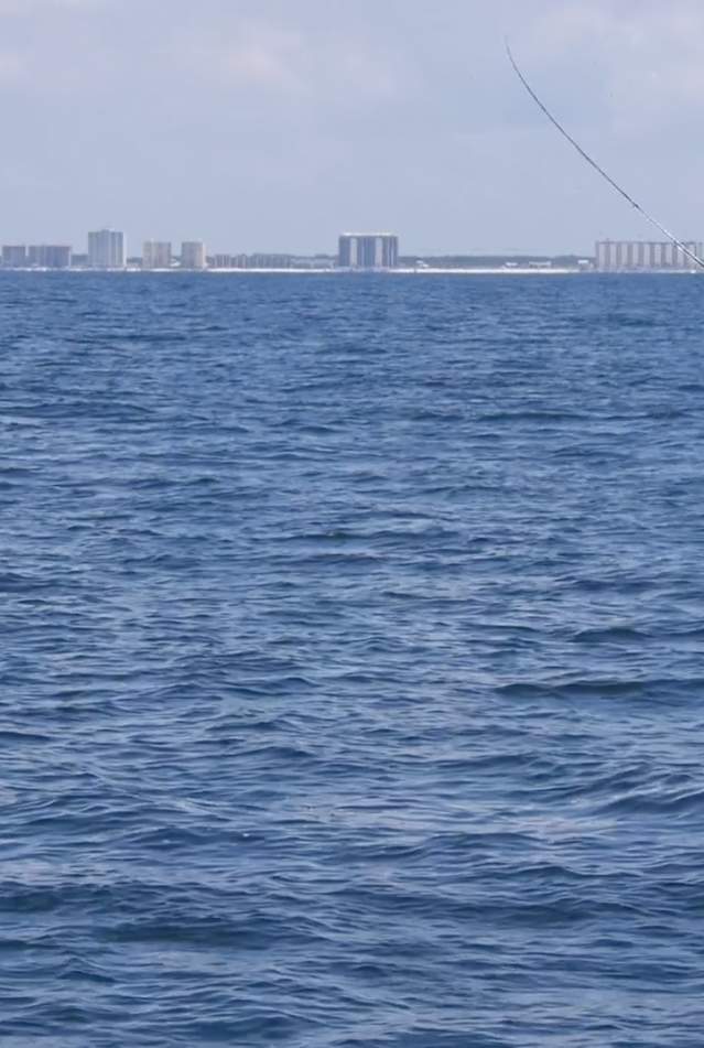 Panama City Beach Florida fishing