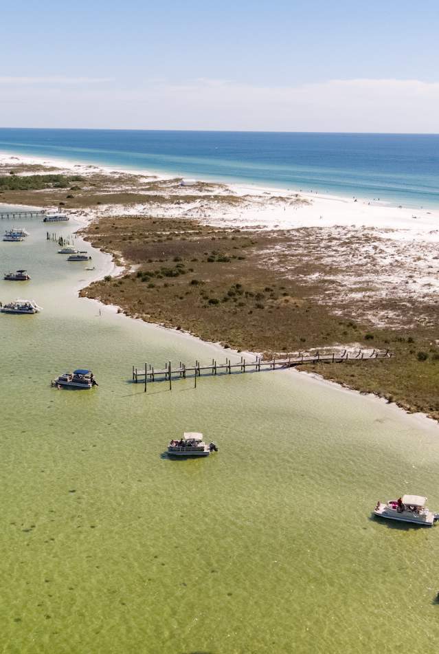 Shell Island Drone