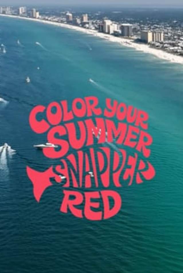 PCB_SnapperSeason_Video-Header