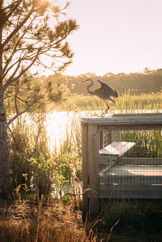 Ecotourism header