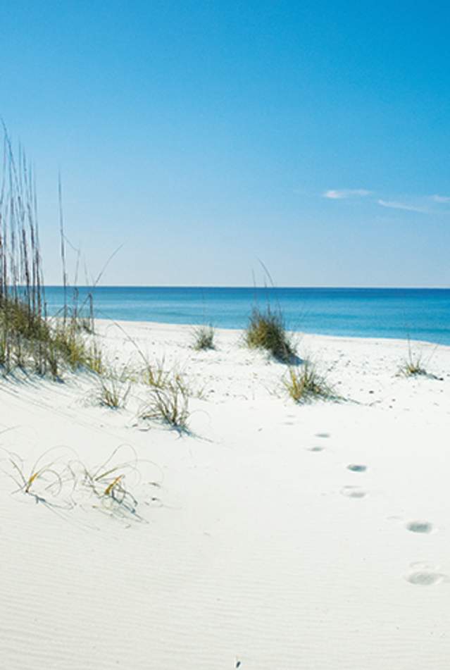 Shell island header