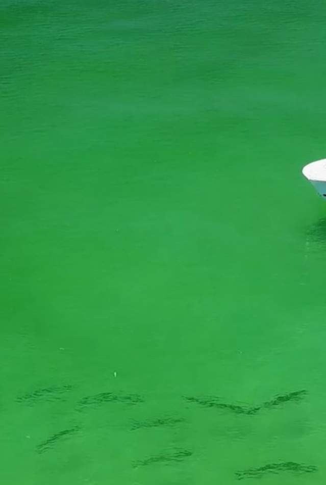 Man fishing on top of boat in Panama City Beach